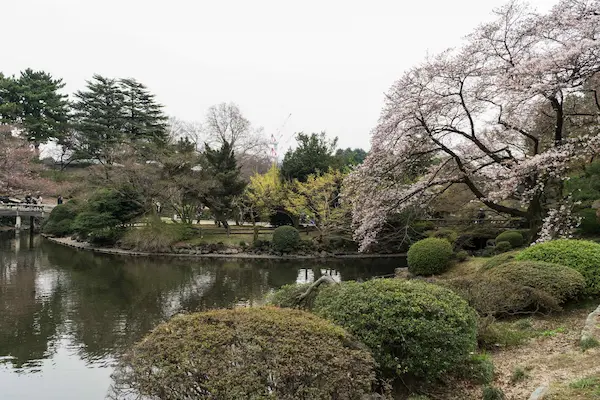 Japanese traditional garden (2)